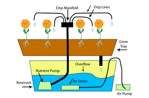 سیستم های قطره ای هیدروپونیک